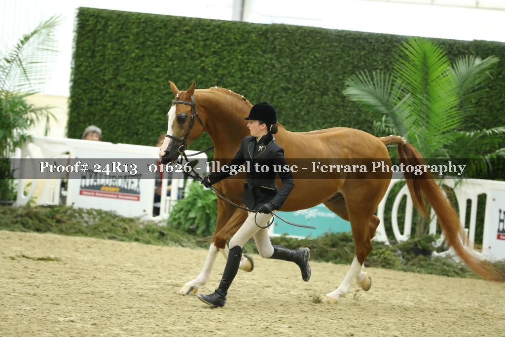 Proof Number 24R13_01626