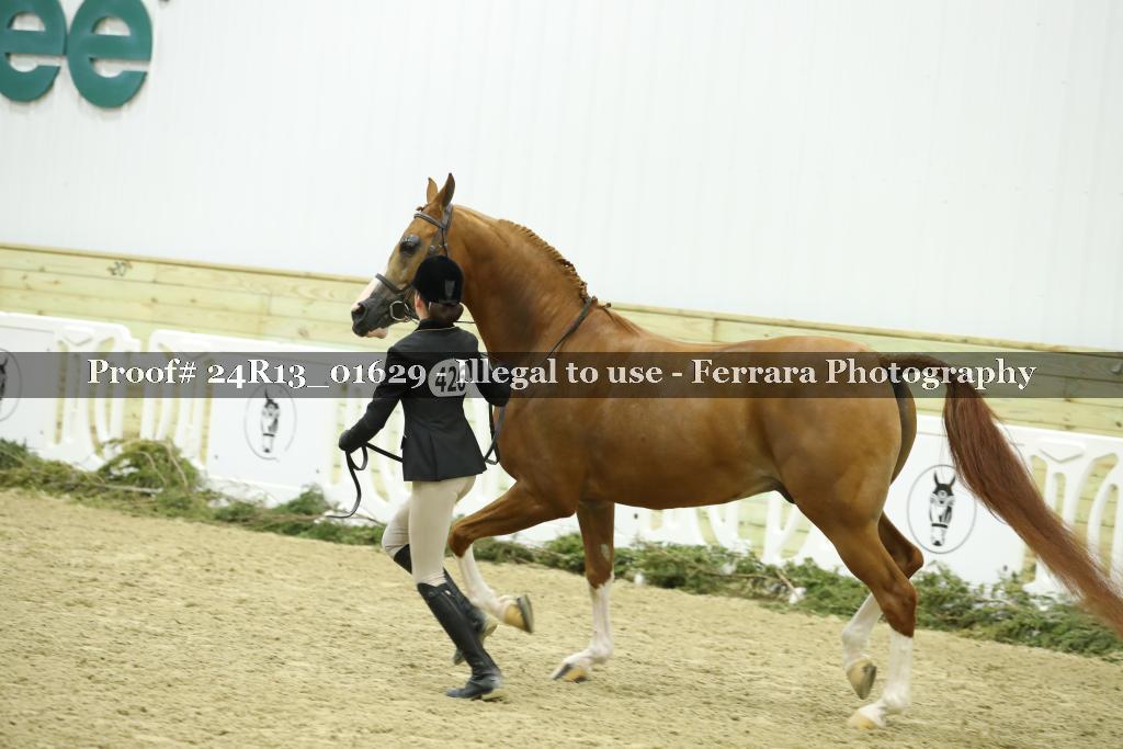 Proof Number 24R13_01629