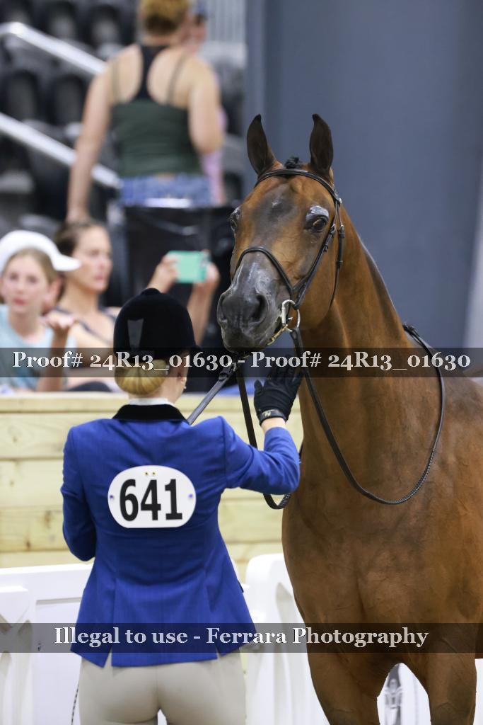 Proof Number 24R13_01630