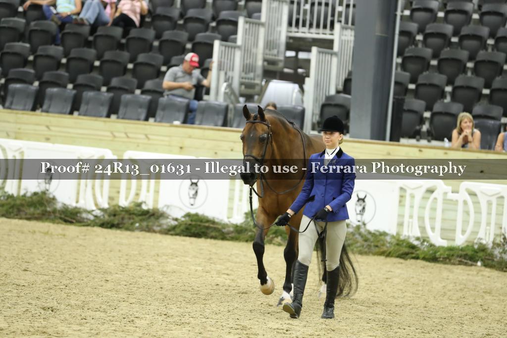 Proof Number 24R13_01631