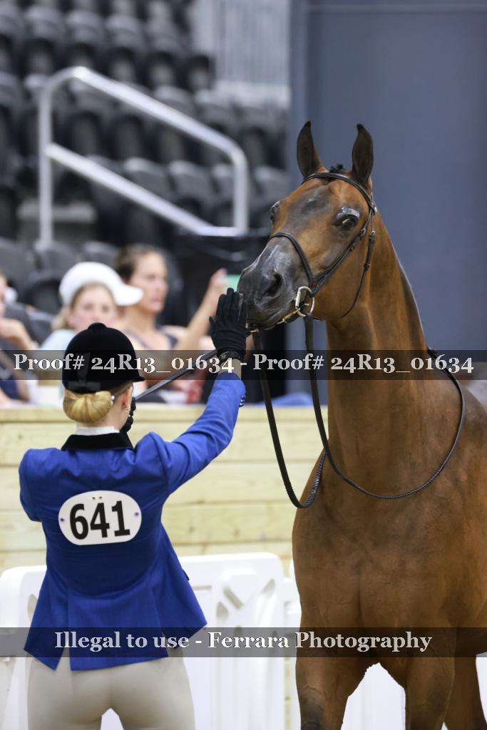 Proof Number 24R13_01634