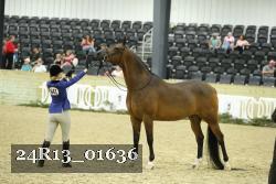 24R13_01636 thumbnail