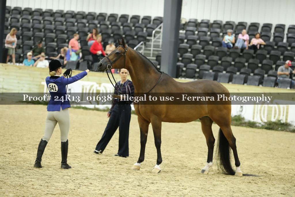 Proof Number 24R13_01638