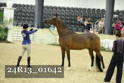 24R13_01642 thumbnail