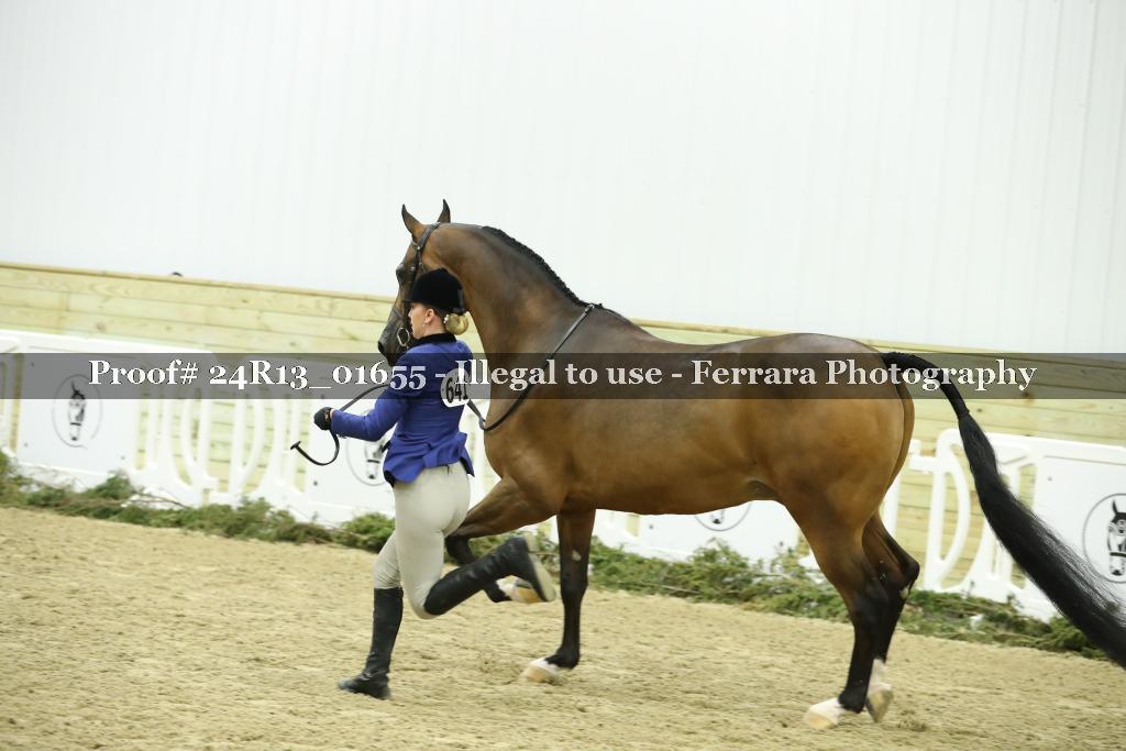 Proof Number 24R13_01655