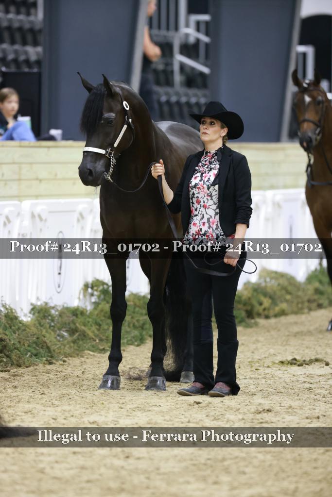 Proof Number 24R13_01702