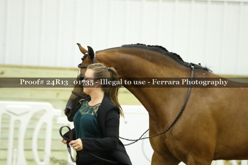 Proof Number 24R13_01735