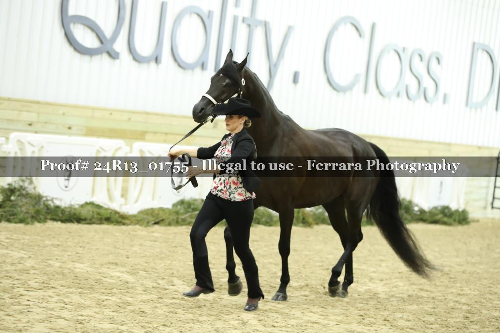Proof Number 24R13_01755