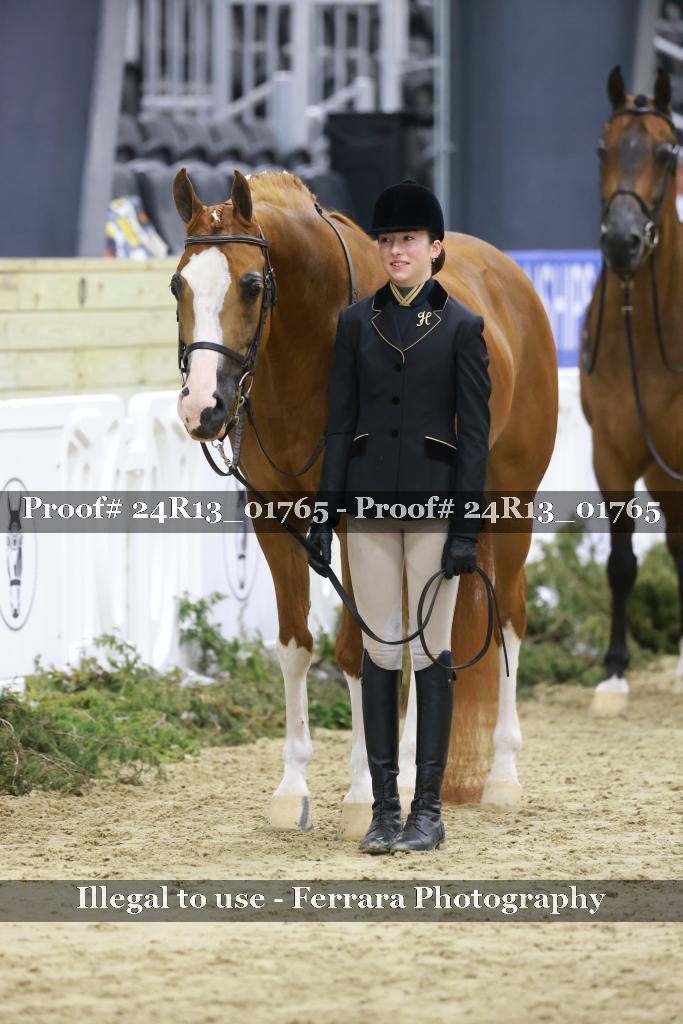 Proof Number 24R13_01765
