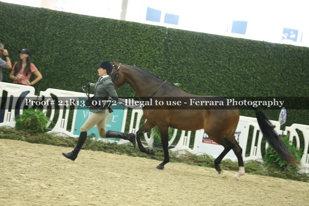 Proof Number 24R13_01772