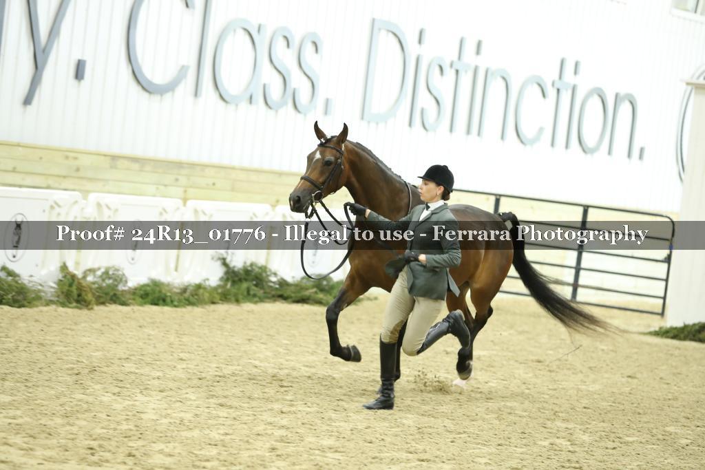 Proof Number 24R13_01776