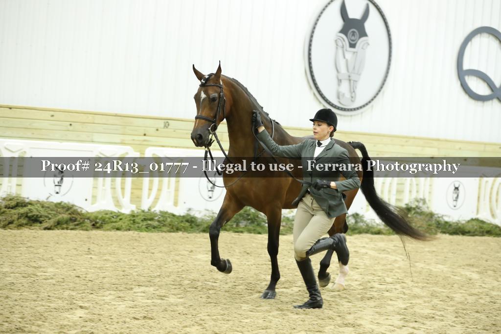 Proof Number 24R13_01777