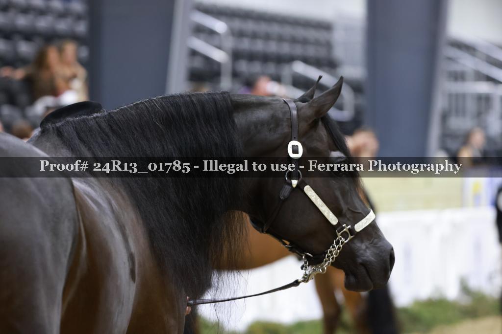 Proof Number 24R13_01785