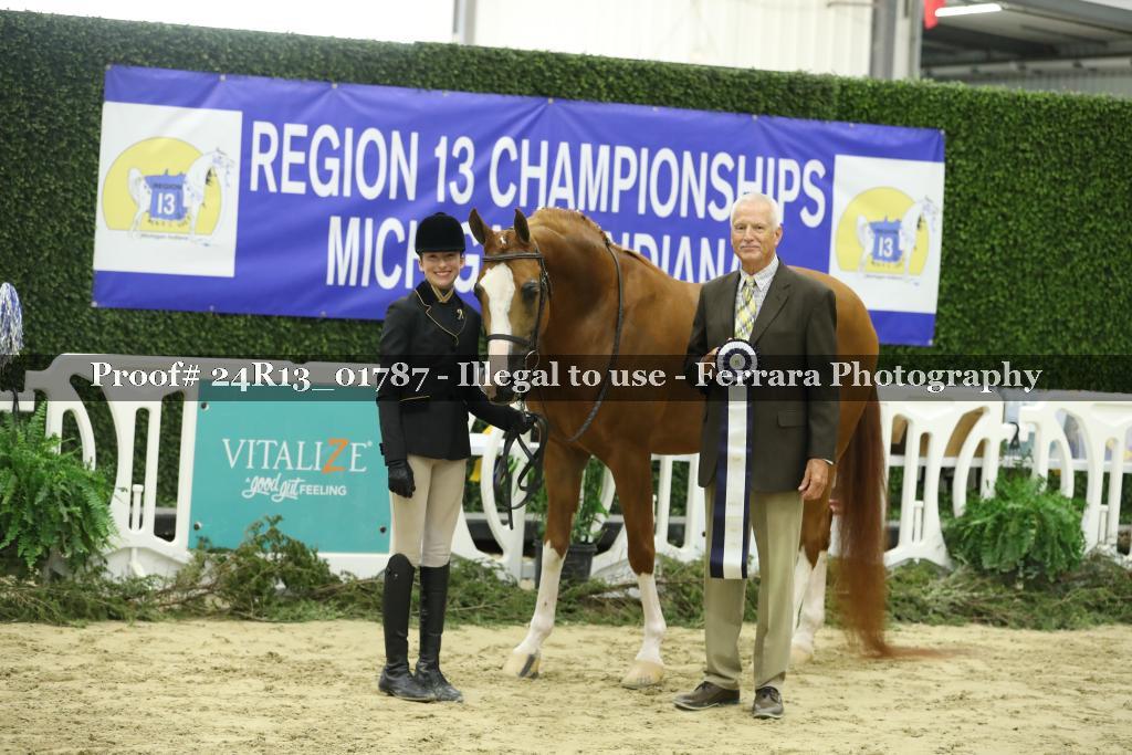 Proof Number 24R13_01787