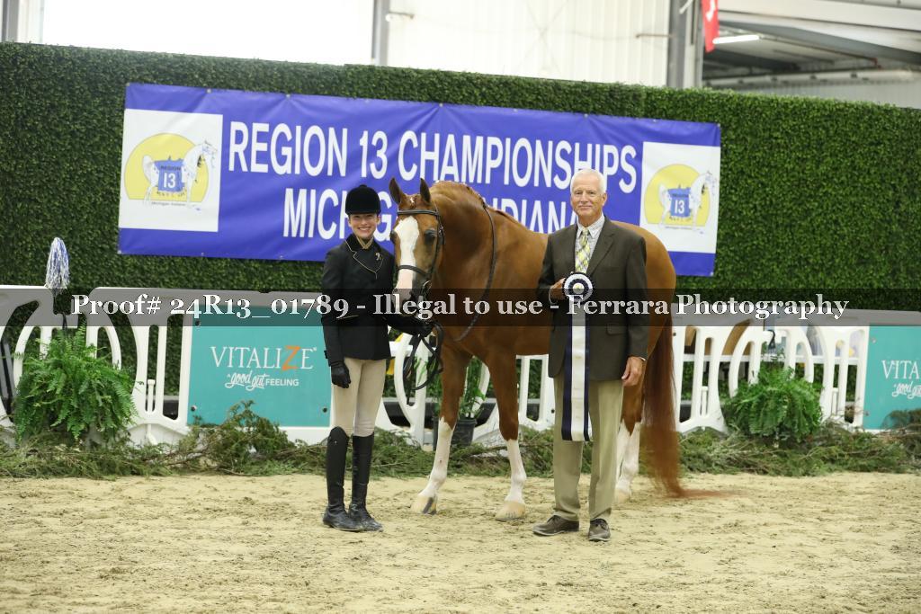 Proof Number 24R13_01789