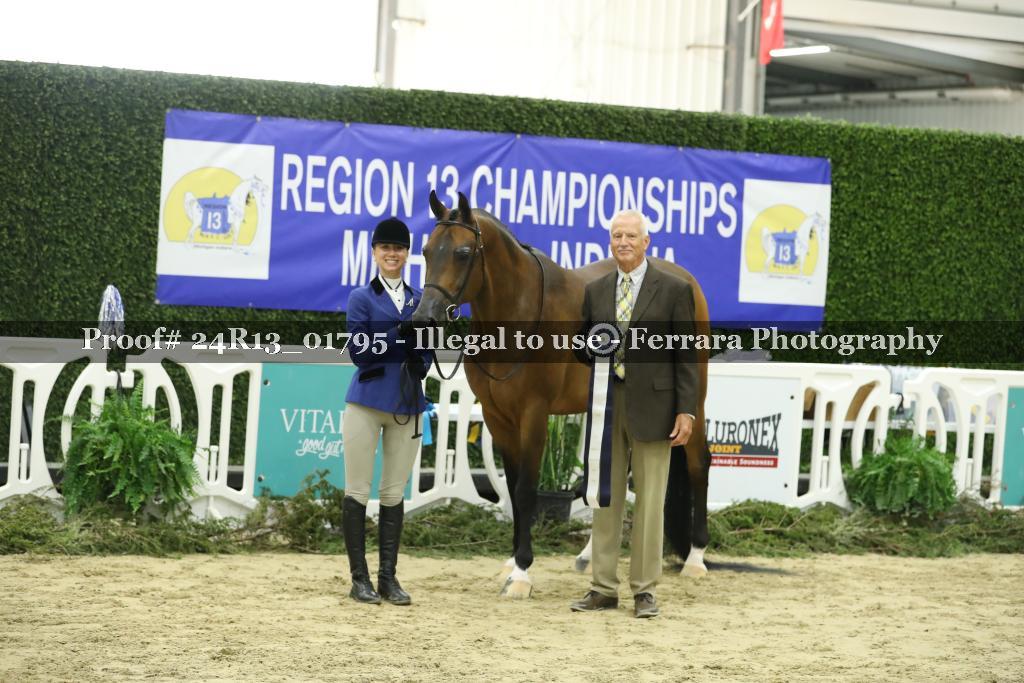 Proof Number 24R13_01795