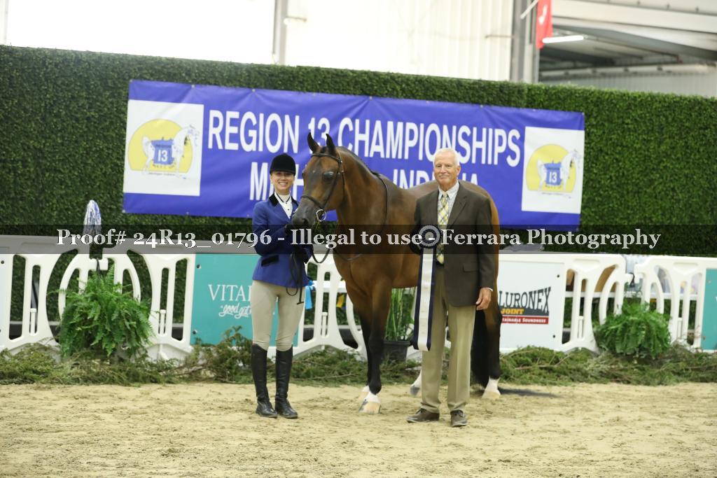 Proof Number 24R13_01796