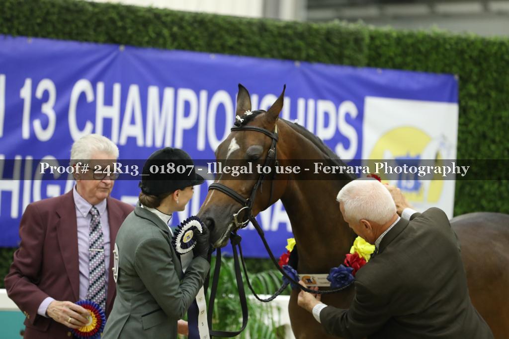 Proof Number 24R13_01807