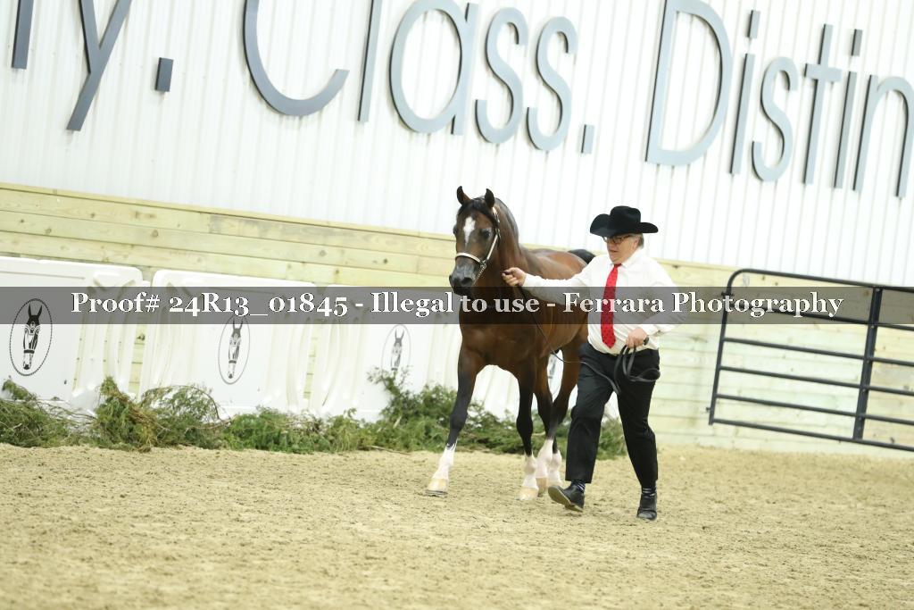 Proof Number 24R13_01845