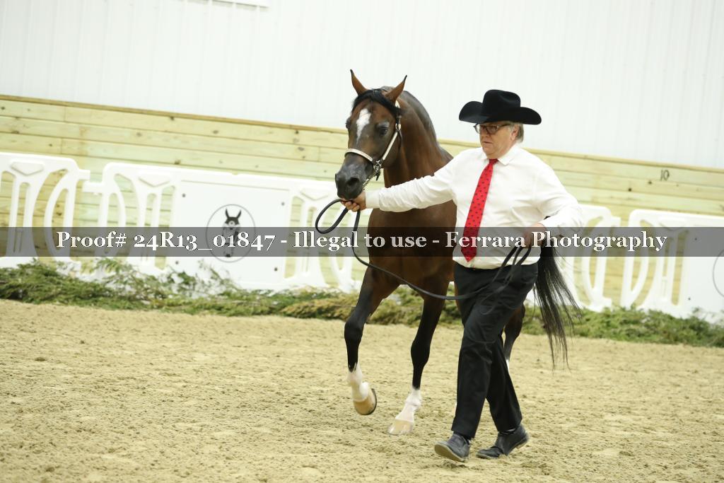 Proof Number 24R13_01847