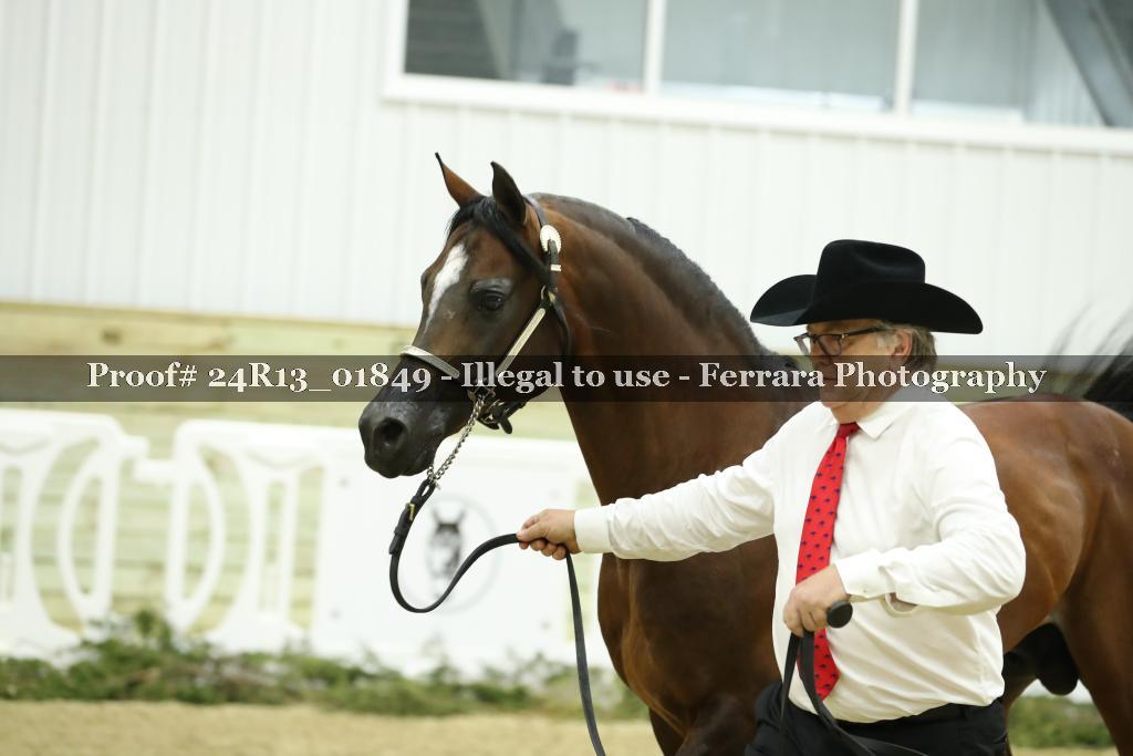 Proof Number 24R13_01849