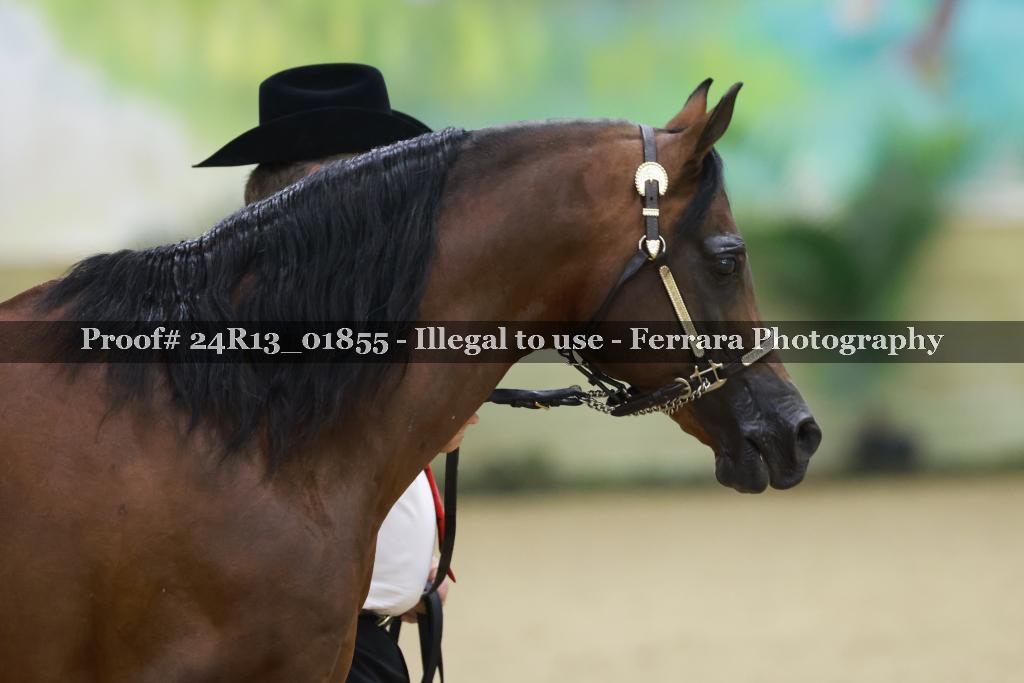Proof Number 24R13_01855