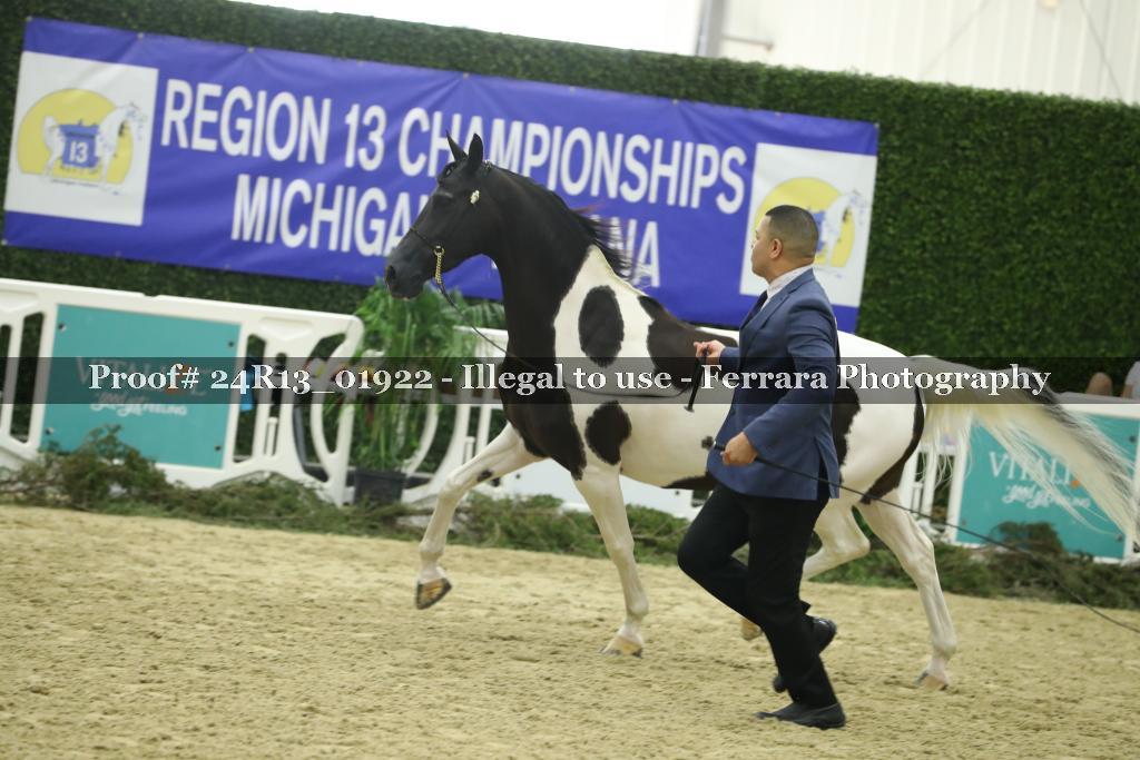 Proof Number 24R13_01922