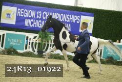 24R13_01922 thumbnail