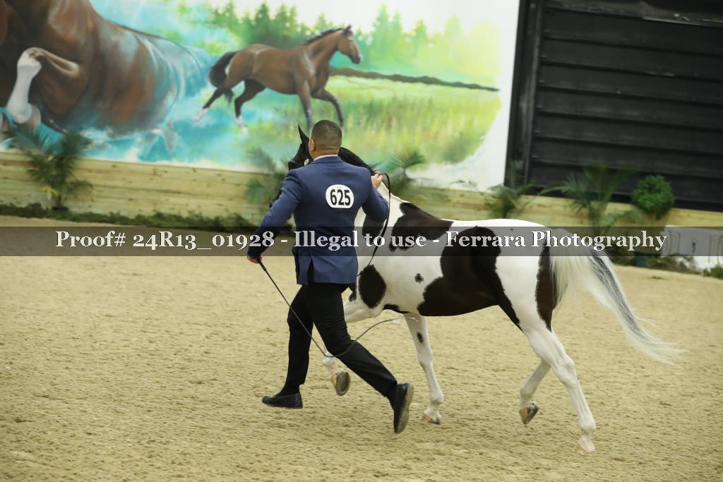 Proof Number 24R13_01928