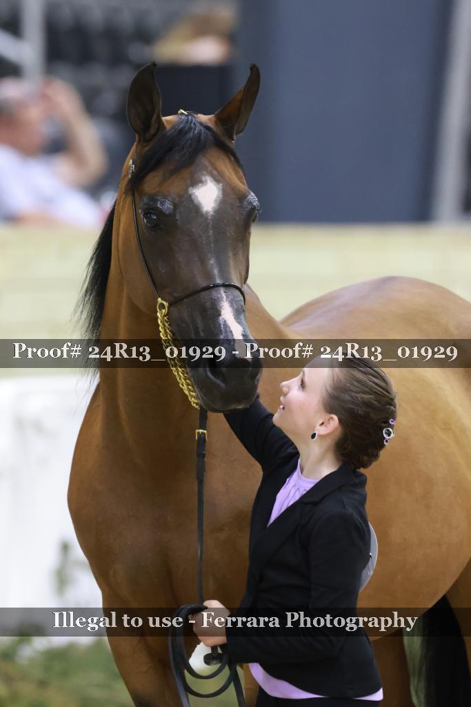 Proof Number 24R13_01929