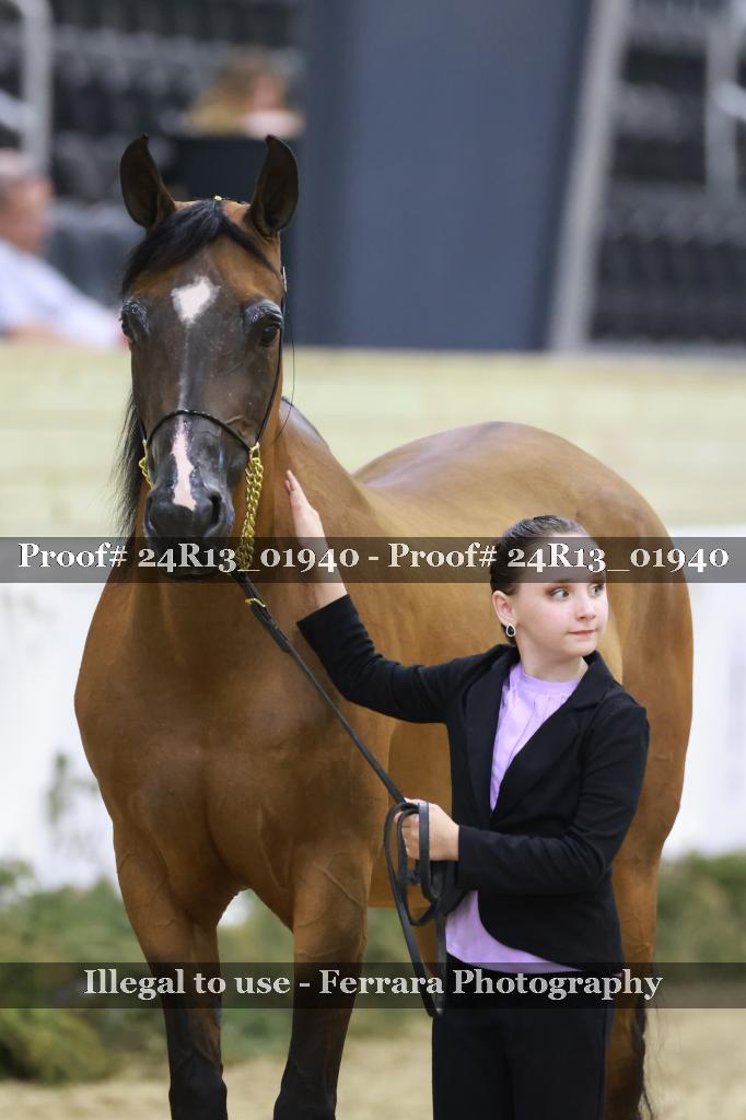 Proof Number 24R13_01940