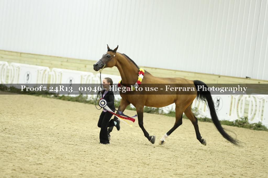 Proof Number 24R13_01946