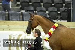 24R13_01957 thumbnail