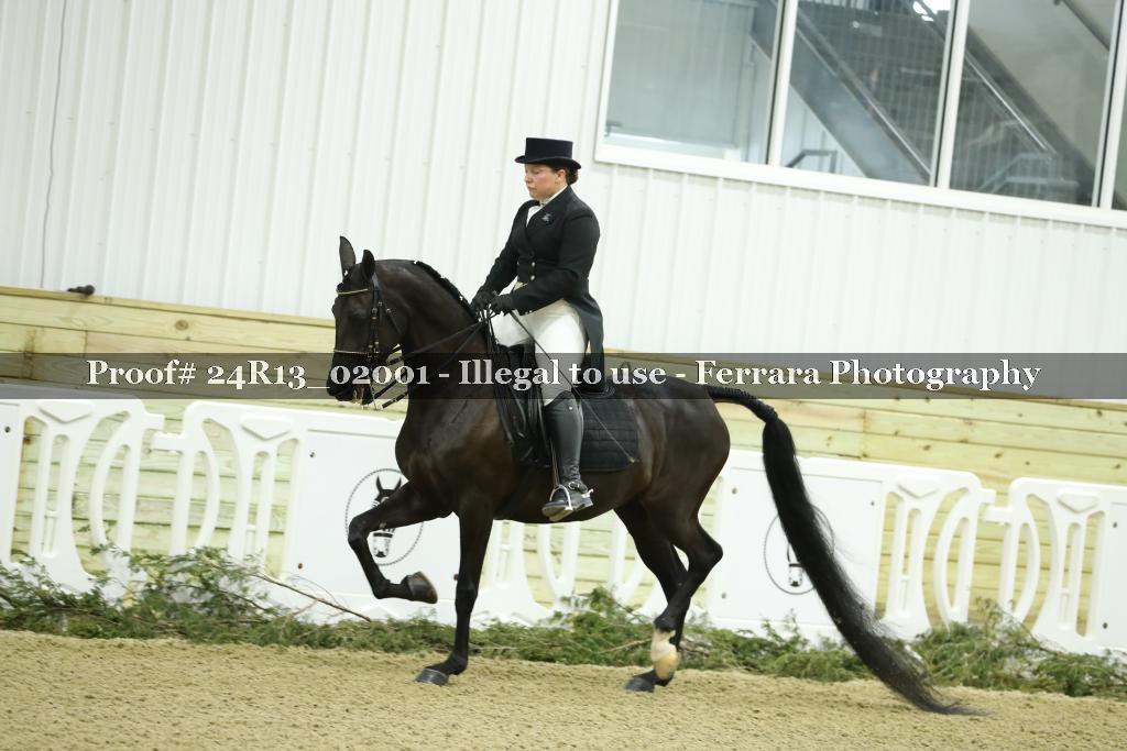 Proof Number 24R13_02001