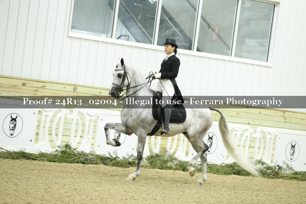 Proof Number 24R13_02004