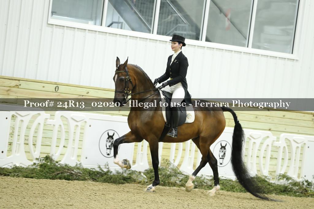Proof Number 24R13_02020