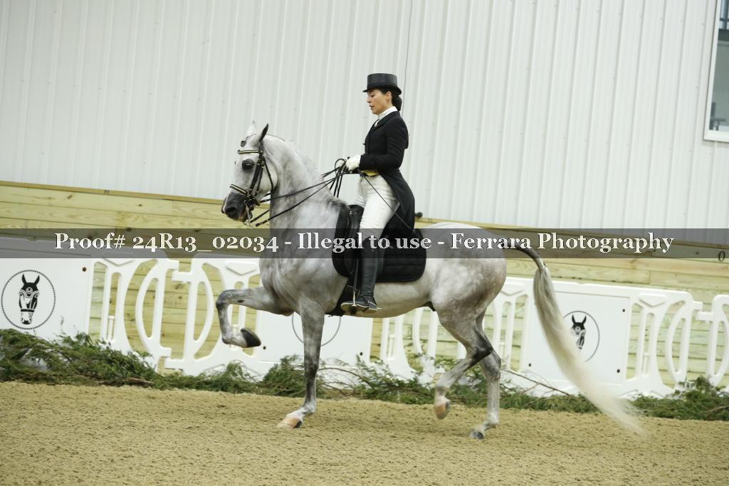 Proof Number 24R13_02034