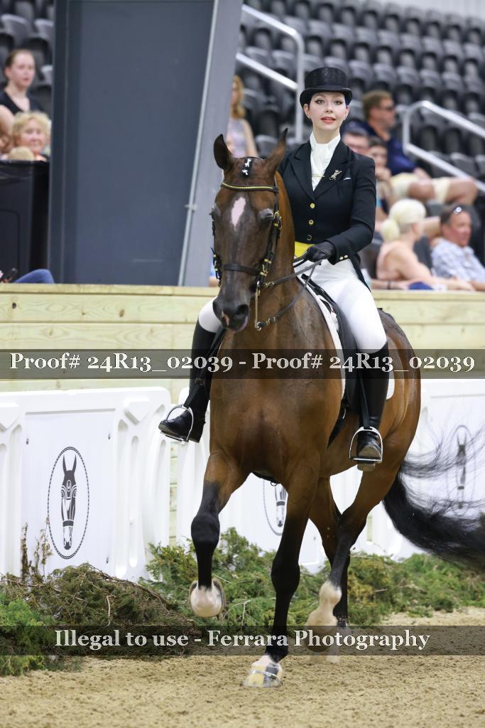 Proof Number 24R13_02039
