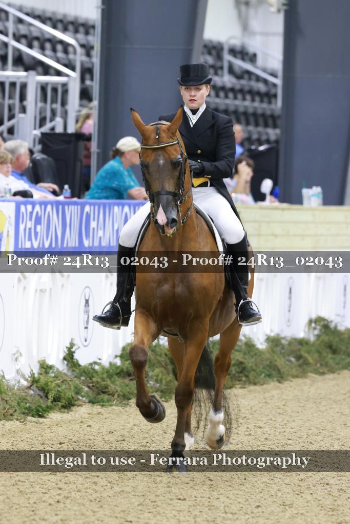Proof Number 24R13_02043