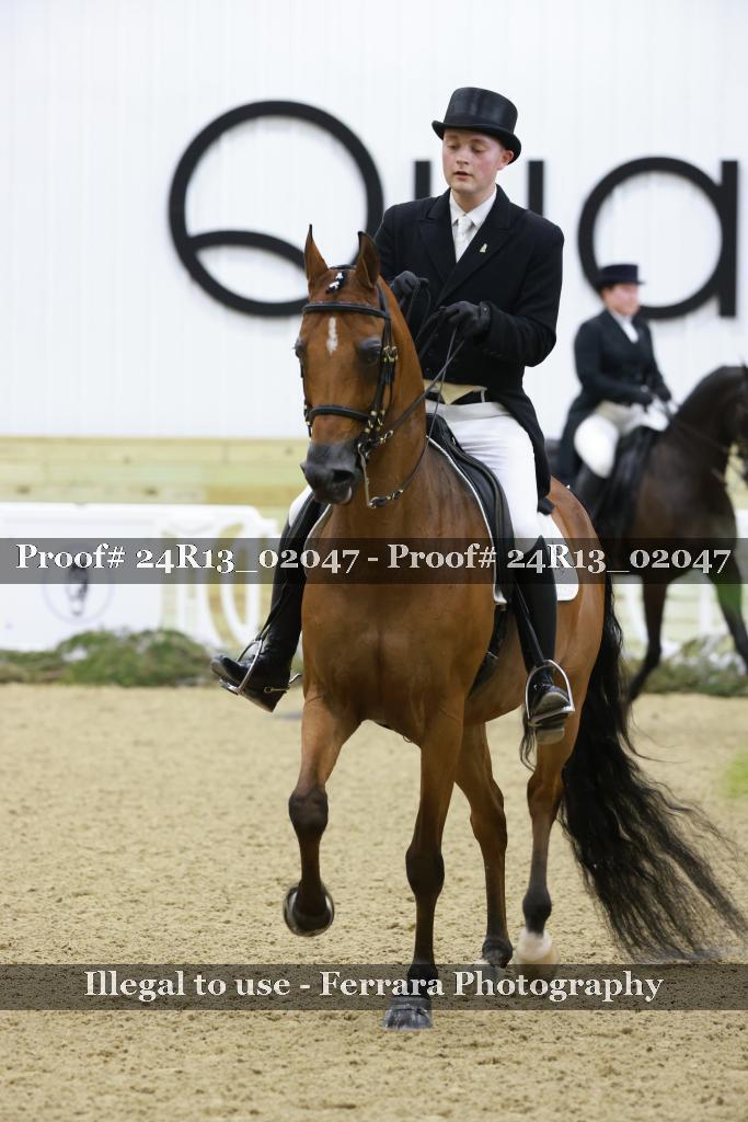 Proof Number 24R13_02047