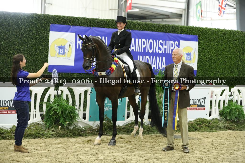 Proof Number 24R13_02061