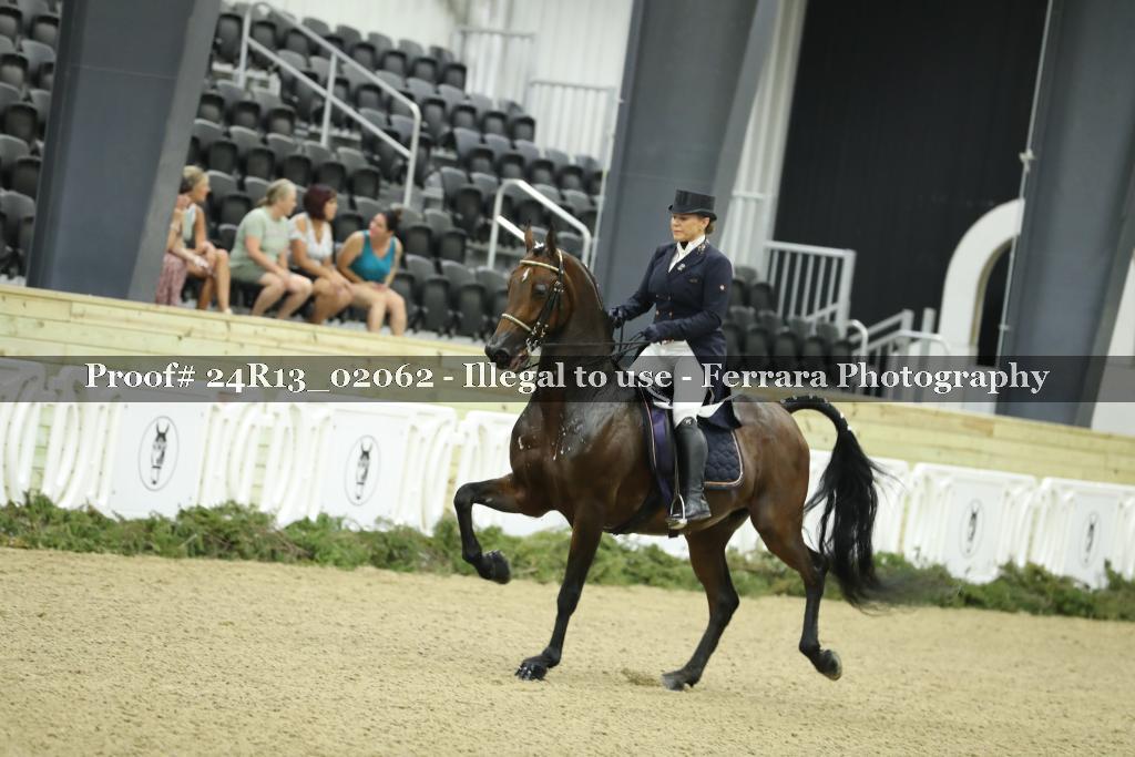 Proof Number 24R13_02062
