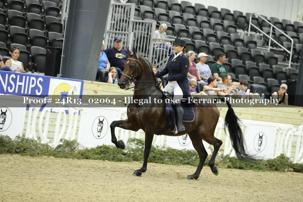 Proof Number 24R13_02064
