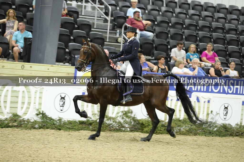 Proof Number 24R13_02066