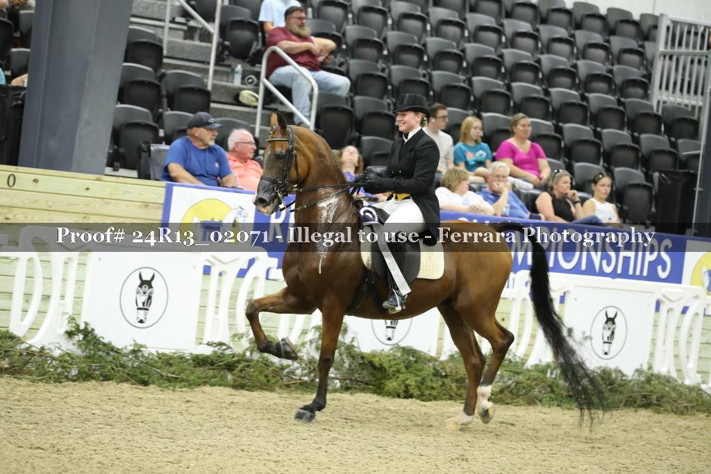 Proof Number 24R13_02071