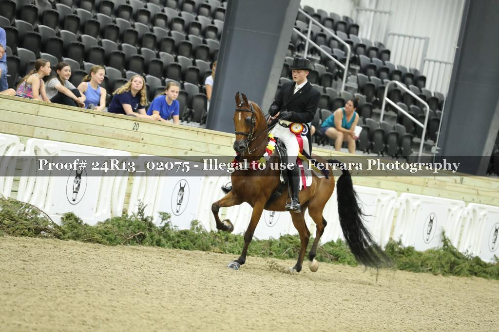 Proof Number 24R13_02075