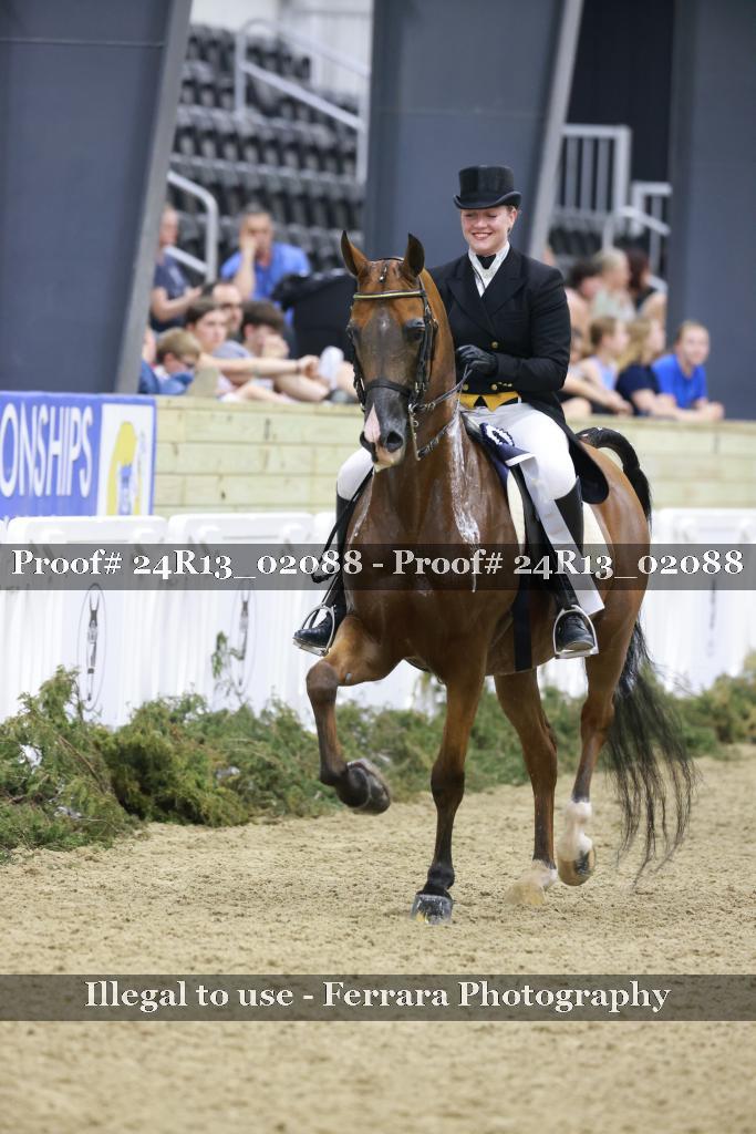 Proof Number 24R13_02088