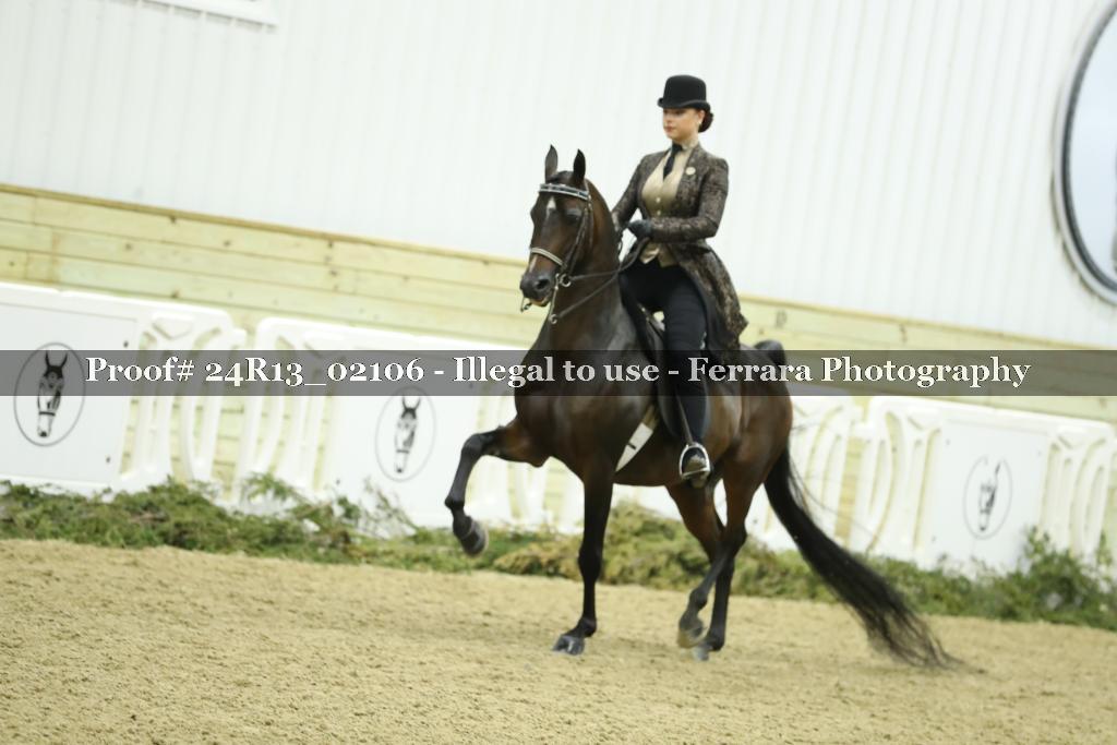 Proof Number 24R13_02106