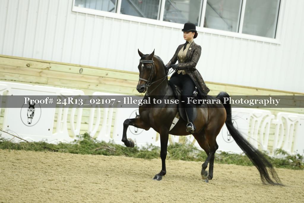 Proof Number 24R13_02107
