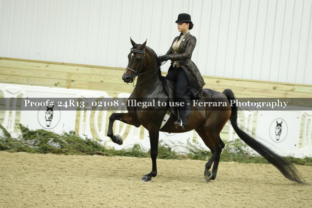 Proof Number 24R13_02108